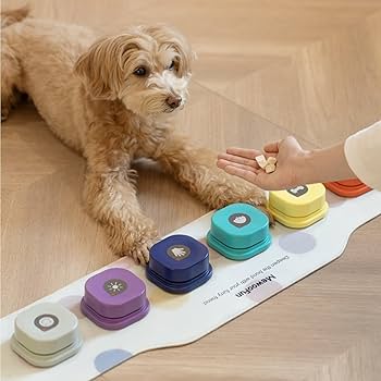 Amazon | MEWOOFUN 犬用 録音ボタン 6個入り 会話ボタン 音声